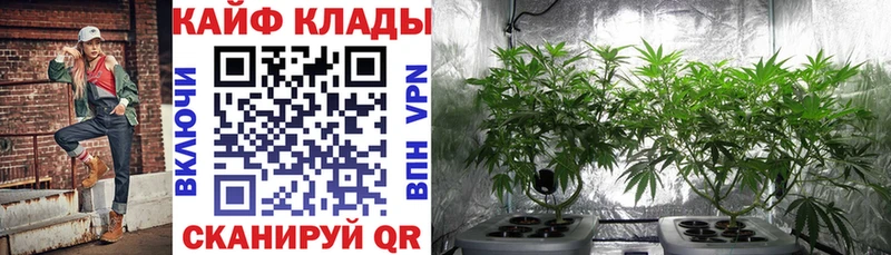 Codein Талдом